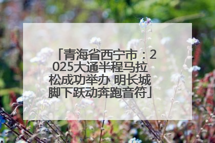 青海省西宁市：2025大通半程马拉松成功举办 明长城脚下跃动奔跑音符